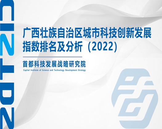 大鸡吧大鸡吧插逼免费观看【成果发布】广西壮族自治区城市科技创新发展指数排名及分析（2022）